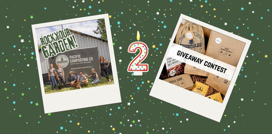 2 Year Anniversary Giveaways and Promotions