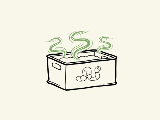 Smelly Worm Bins - Possible Causes & Effective Solutions