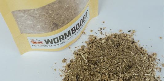 Worm Boost is Finally Here - Enjoy 25% Off Launch Pricing!