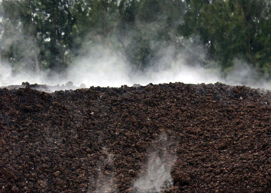 Are All Composts Created Equal?
