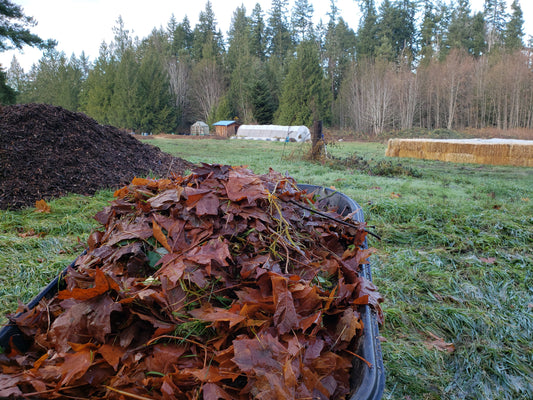 Fall - A Great Time to Get Your Backyard Composter Going!