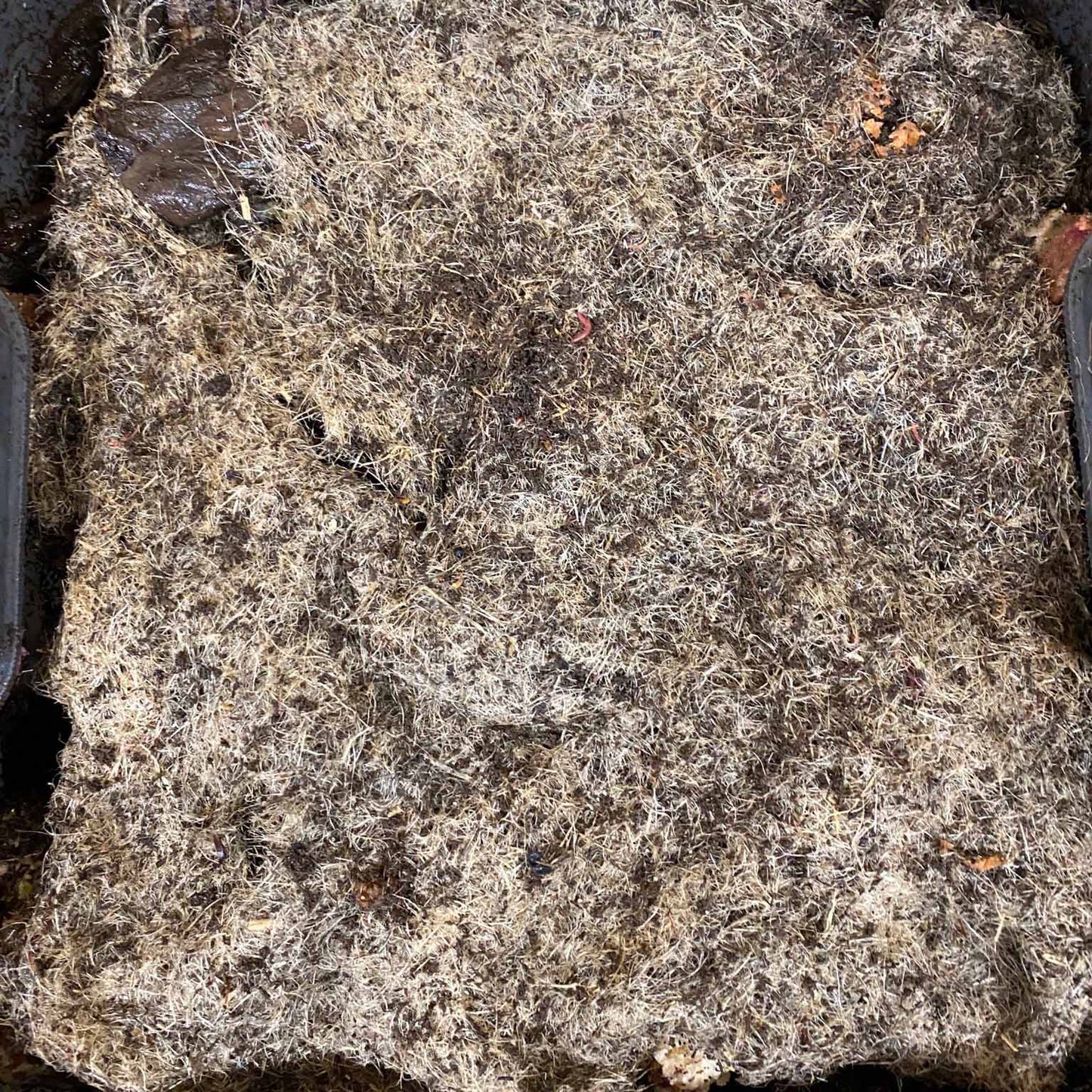 Hemp Blanket