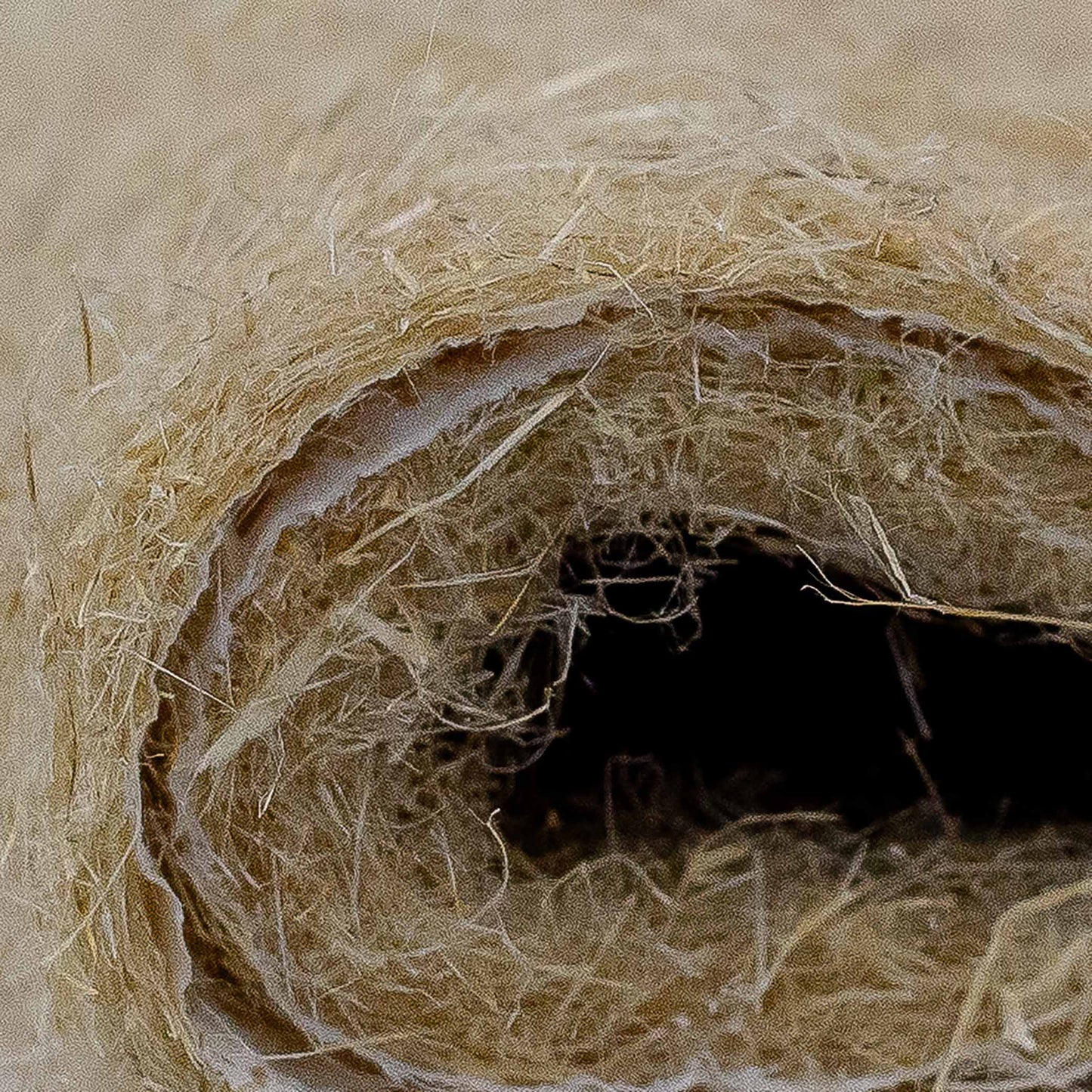 Hemp Blanket