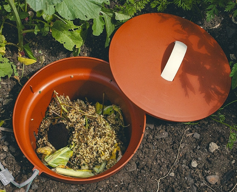 In-Ground Composter w/ Worms Bundle