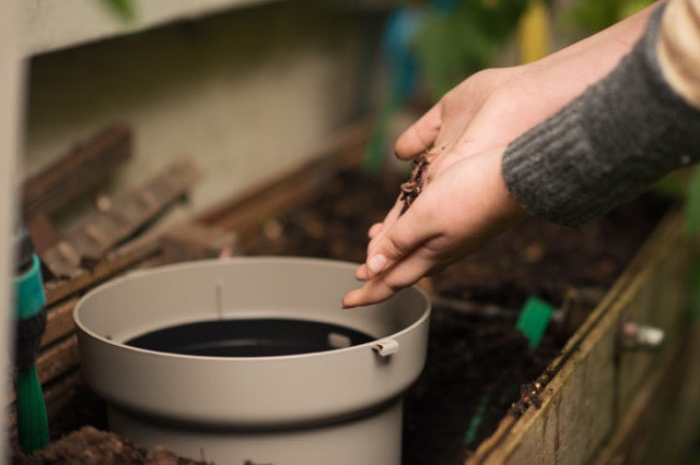 Urbalive In-Ground Worm Composter