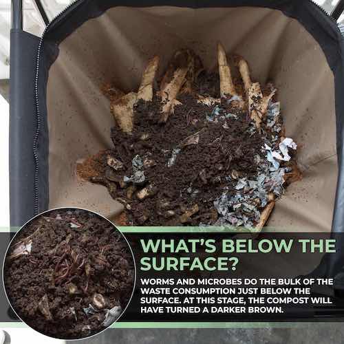Urban Worm Bag