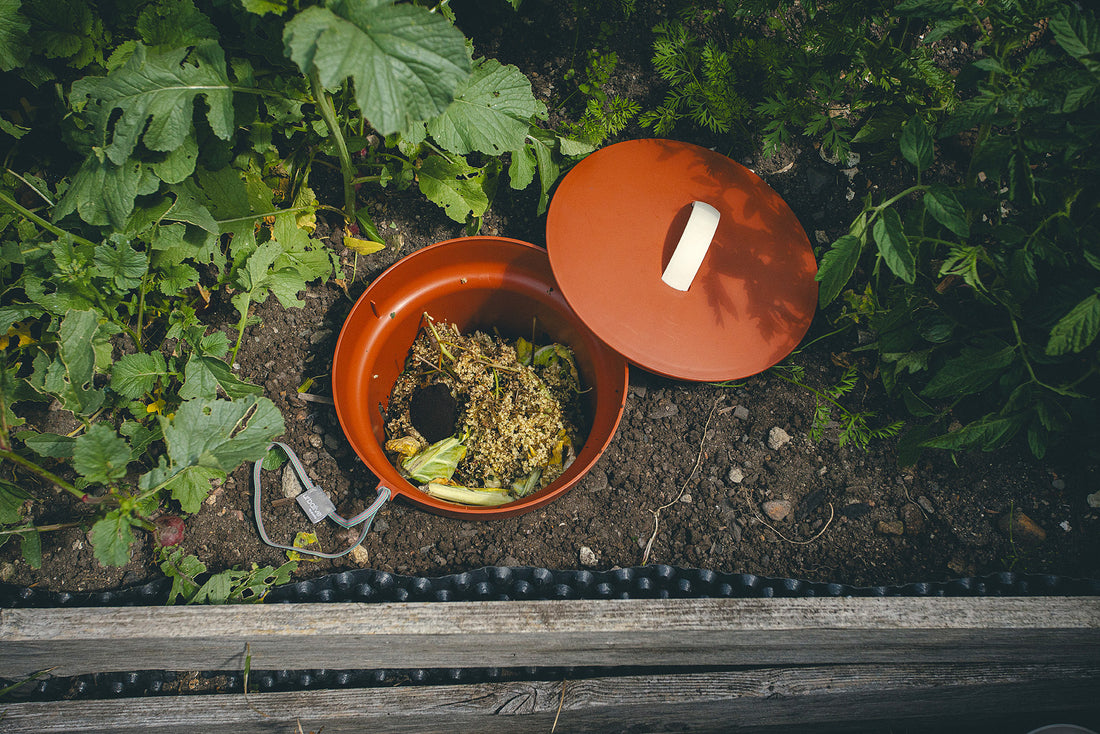 Plastia In-Ground Worm Composter