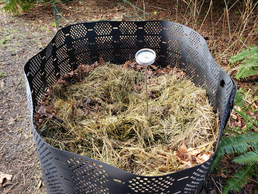 Setting Up Your GeoBin for Worm Composting Success