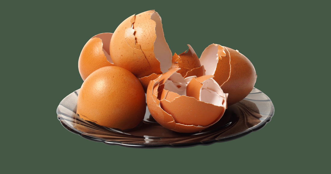 Adding Eggshells to Your Worm Bin