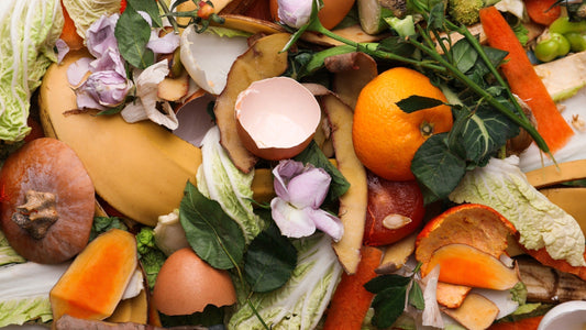 Tips and Tricks for Worm Food Optimization