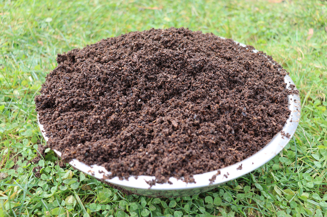 How to Use Worm Castings & Liquid Extracts