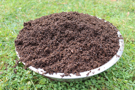 How to Use Worm Castings & Liquid Extracts