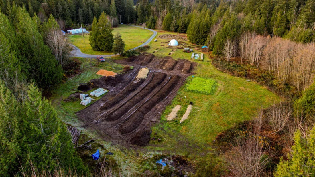Our Food Forest Project Has Officially Launched!