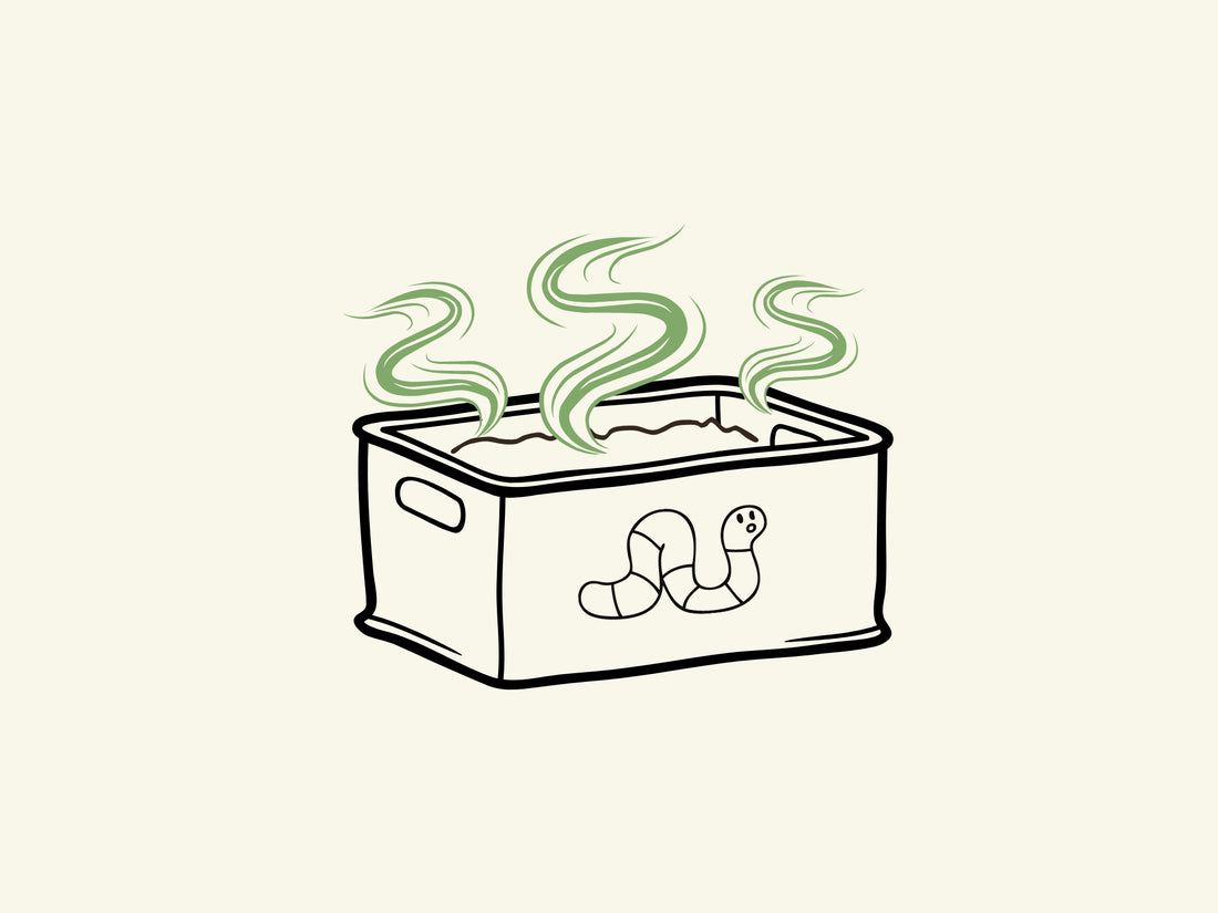 Smelly Worm Bins - Possible Causes & Effective Solutions