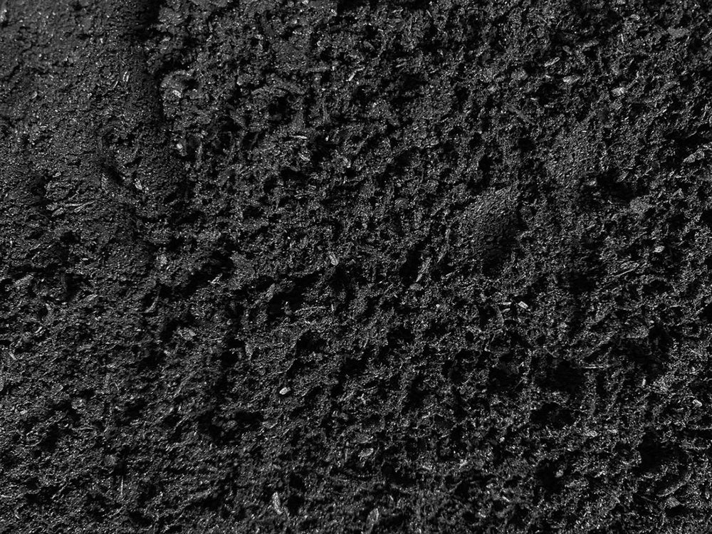 Biochar + Worms: A Simple Upgrade for Better Compost?