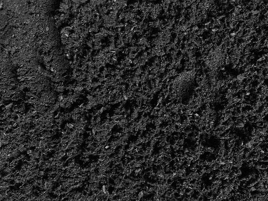 Biochar + Worms: A Simple Upgrade for Better Compost?