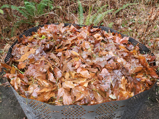 Next Level Backyard Composting - Fall Prep