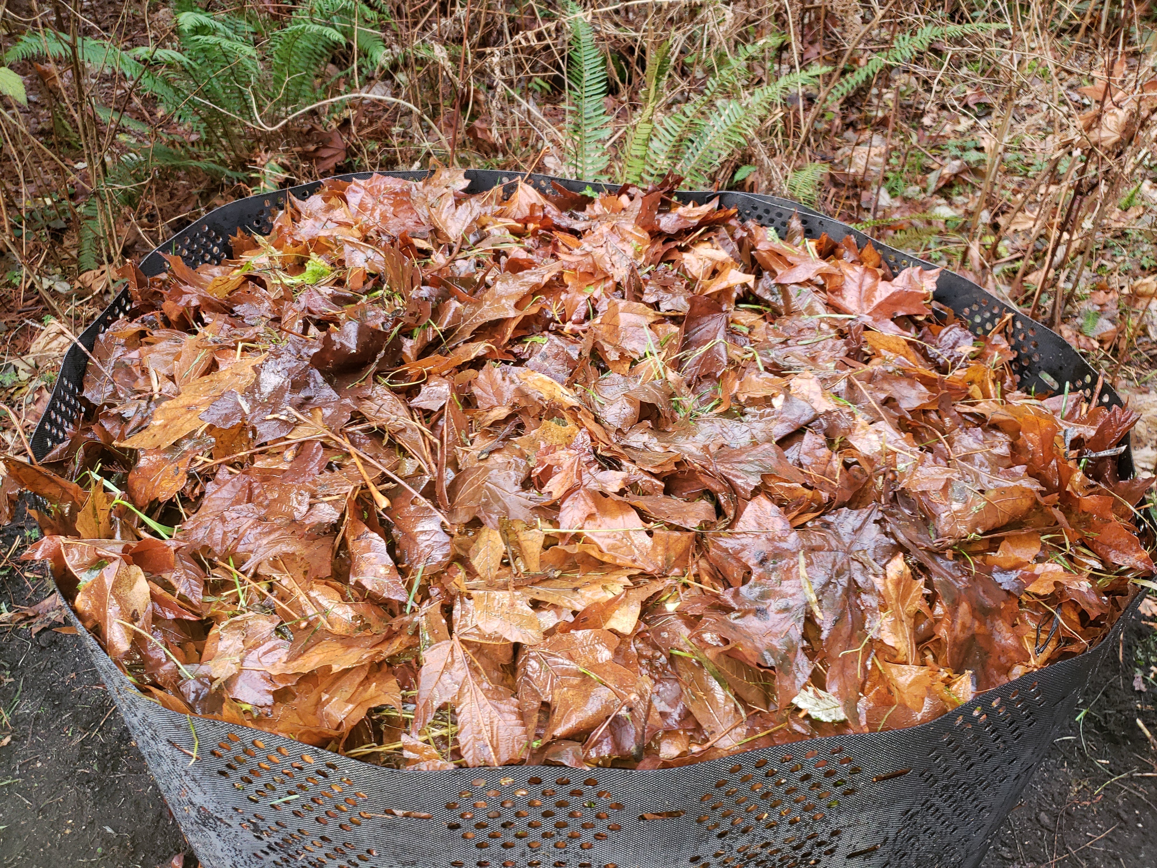 Fall Composting Pacific Composting Co. | Enrich Your Soil Naturally.