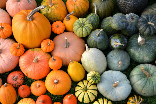 Pumpkins - The Ultimate Fall Bounty For Your Worms