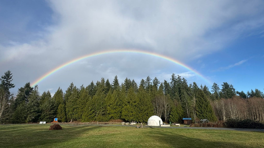 Holiday Closure and Shipping Updates