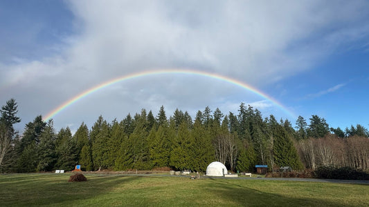 Holiday Closure and Shipping Updates