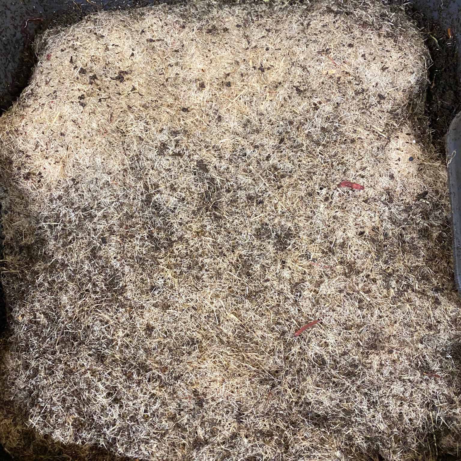 Hemp Worm Blanket for your Worm Bin – Pacific Composting Co