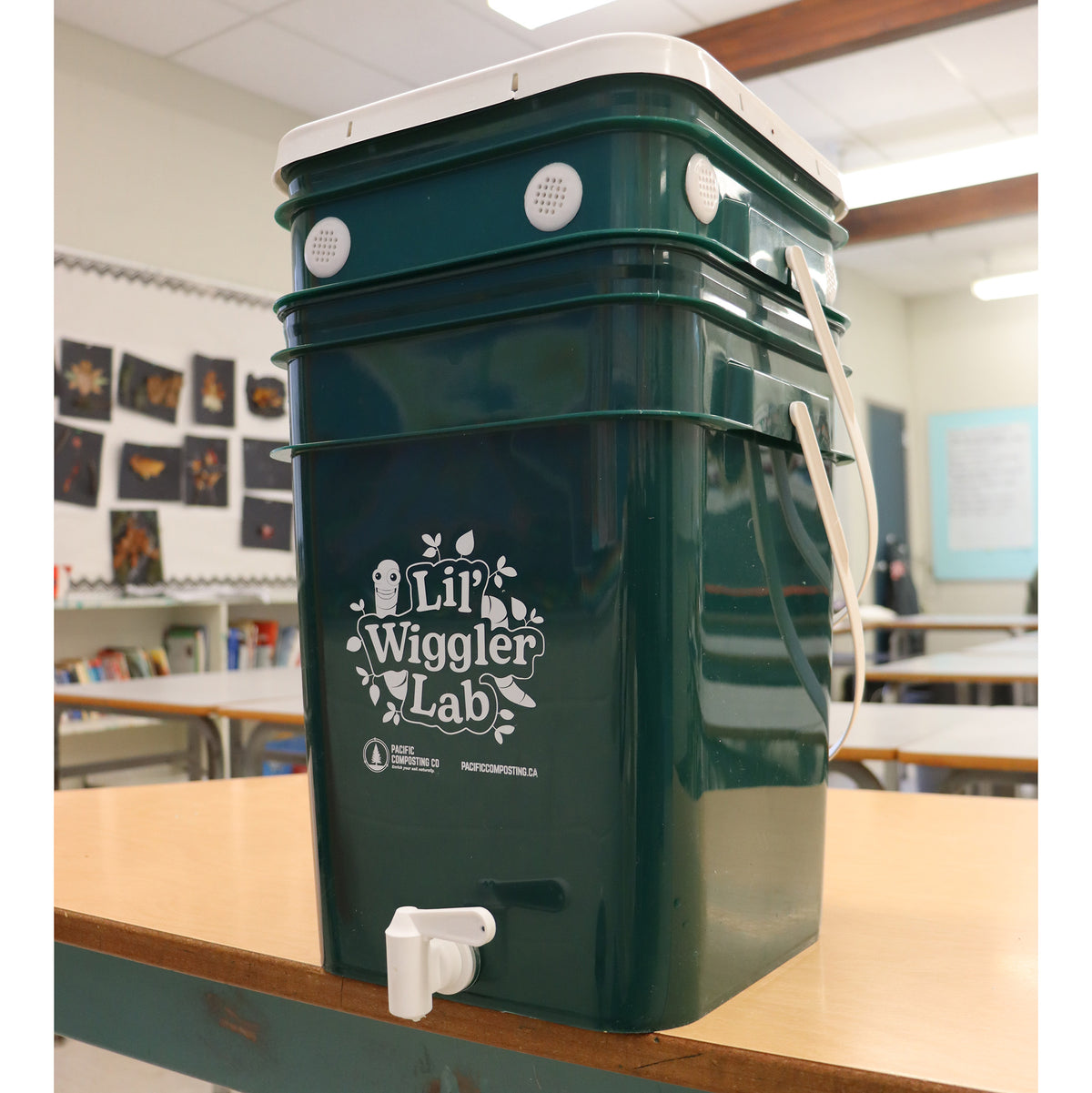 Lil' Wiggler Lab Worm Composting Kit