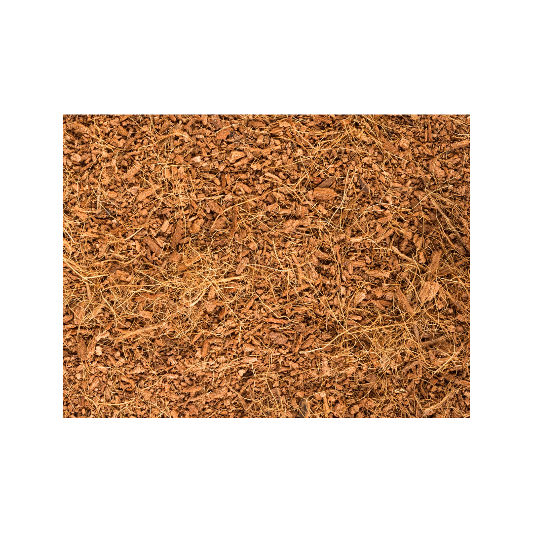Coco Coir - 625g brick – Pacific Composting Co Coco Coir - 625g brick – Pacific Composting Co